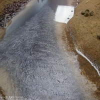 View from the Bow River Bridge
