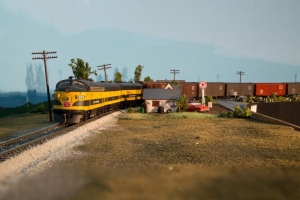 LES24